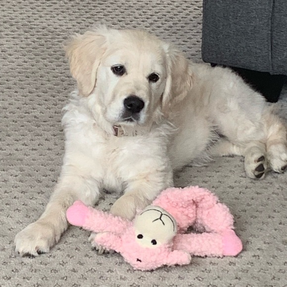 Meet your Posher, Donna - Picture 2 of 2